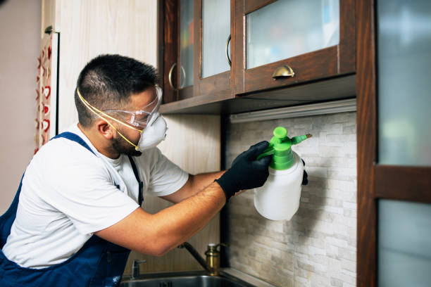 Best Cockroach Control Services  in Naples Park, FL