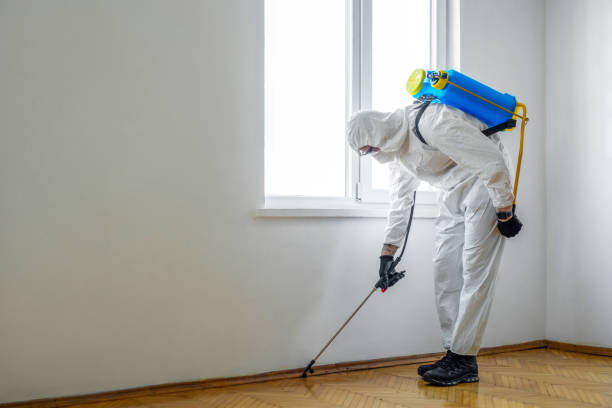 Best Mosquito Control Services  in Naples Park, FL