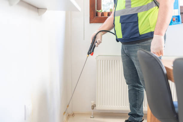 Best Flea Control Services  in Naples Park, FL