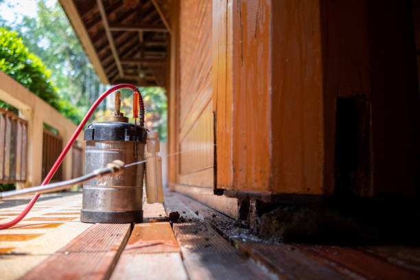 Best Wasp Removal Services  in Naples Park, FL