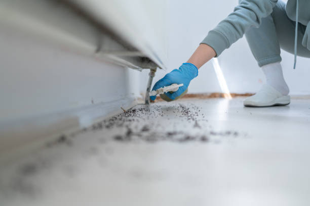 Best Best Pest Control Companies  in Naples Park, FL